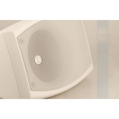 Настенная акустика CVGAUDIO ODF408TW